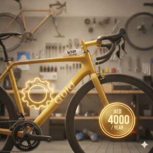 VIP Gold – AED 4000 / Yearly